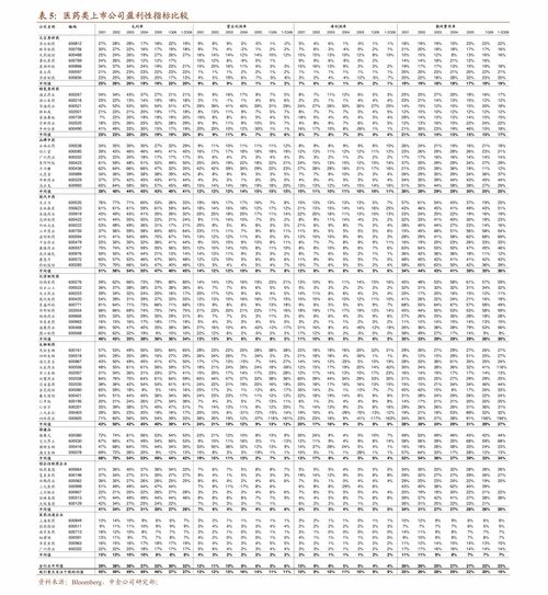 國盛證券計算機行業深度 為什么全球AI應用領軍企業有望在中國崛起